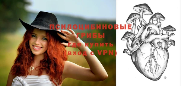 соль ск Новодвинск