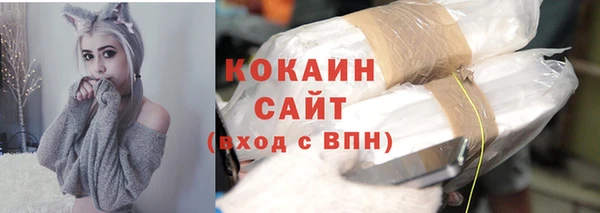 соль ск Новодвинск
