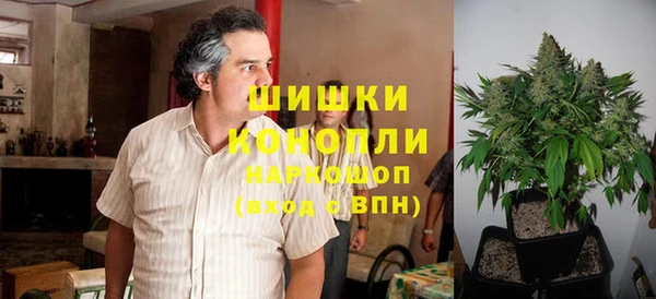 молекула духа Наволоки