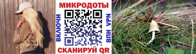 цены   Шадринск  Псилоцибиновые грибы Psilocybe 